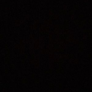 Meet your Posher, Lily